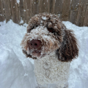 chunklighttunainwater avatar