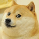 church-of-doge-blog avatar