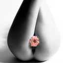 churchofvagitarianism avatar