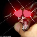 churchyardgrim avatar