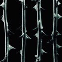 churchyardishcharm avatar