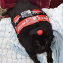 chuuulula-sauce avatar