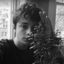 chuvisco-noturno avatar