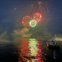 cicadabooknights avatar