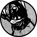 cicadaclub avatar