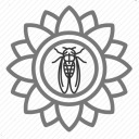 cicadasunflower avatar