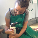 cicatrixmanet avatar