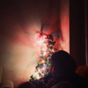 cicek-durbunu avatar