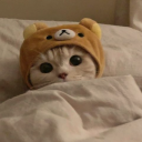 cicha-rozmowa avatar