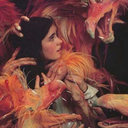 cielkangaroo123-blog avatar