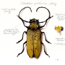 cienciaearte-blog avatar