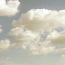 cierpienie-niezawinione avatar