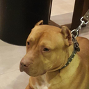 cift-dostu-01-52 avatar