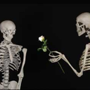 cigarette-after-disaster avatar