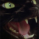 cigarettebummer avatar