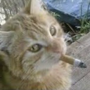 cigarettefan123 avatar