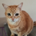 cigaretteparfum avatar