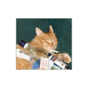 cigarettesaftersexlover avatar