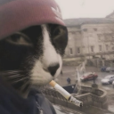 cigarettesforcats avatar