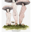 cigscountasamealright avatar