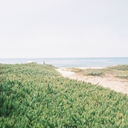 ciiiiiiiiarrrraaaa avatar