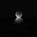 cikolatalikedicik avatar