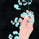 cilekligofret avatar