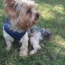 cilginnorlando avatar