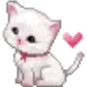 ciliegiagustocacao avatar