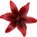 cilliansweetiee avatar