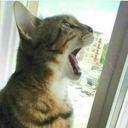 cillit-bang-me avatar