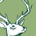 cimmerianshade-a avatar