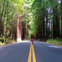 cinalanica-blog avatar