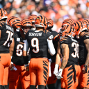 cincybengals09 avatar