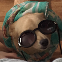 cinderblckgvrden avatar