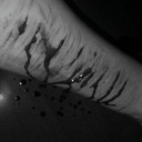 cinderellaaaax avatar