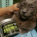 cinderellaisbroke avatar