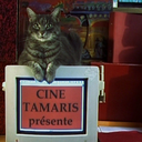 cinecriture-blog1 avatar