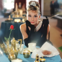 cinemaphotographyworld avatar