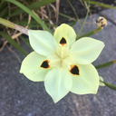 cinnamon-spice17 avatar