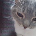 cinnamonbitches avatar