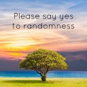 cinnamonbloom avatar