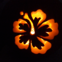 cinnamonbun-baby avatar