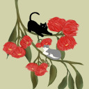 cinnamondunce avatar