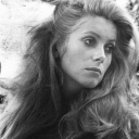 cinnamongirlblogsworld avatar