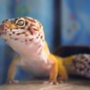 cinnamononeverything avatar