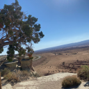 cinnamonsugarhoney avatar