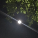 cinnamonsugarlove avatar