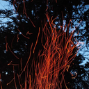 ciobreliusliundra avatar