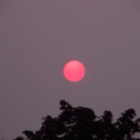 circleinmymind avatar